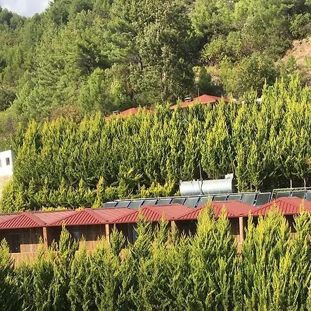 Sifa Tarlasi/ Heilgarten/ Healgarden Homestay Alanya